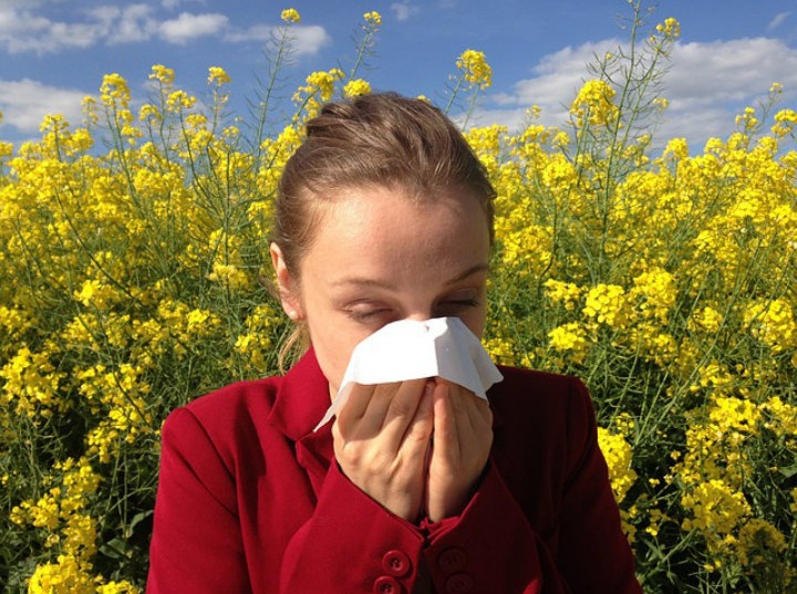 En primavera se incrementan las alergias. Imagen: Pixabay