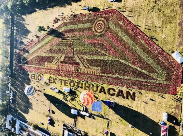 Se impuso en el Pueblo Mágico de Teotihuacán un nuevo récord Guinness por el Tapete Floral más grande del mundo. (Foto: Turismo, Edomex)