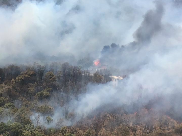 Provocados los incendios en Bosque de la Primavera: Sergio Graf. Foto: @CONAFOR 