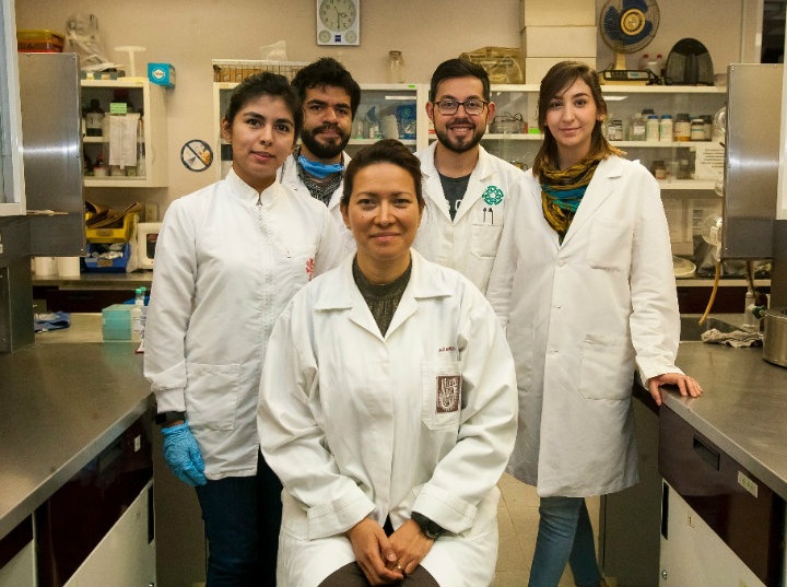 Realizamos un tratamiento no invasivo contra VPH: María Teresa López Cárdenas. Foto: IPN